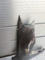 IMG_20190717_181658.jpg