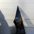 IMG_20190724_172920.jpg