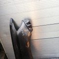 IMG_20190724_191436.jpg