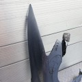 IMG_20190726_191937.jpg