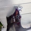 IMG_20190727_175616.jpg