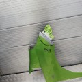 IMG_20190810_172541.jpg