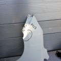 IMG_20190811_182607.jpg