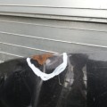 IMG_19700115_075919.jpg
