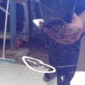 IMG_19700127_065357.jpg