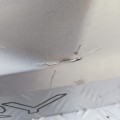 IMG_19700310_085524.jpg