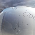 IMG_20191023_132053.jpg