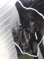 IMG_20210922_122753.jpg