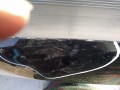 IMG_20211001_130243.jpg