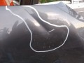 IMG_20211001_174937.jpg