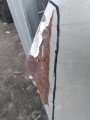 IMG_20211001_175921.jpg
