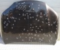 IMG_20211005_132646.jpg
