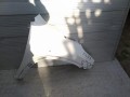 IMG_20220428_175801.jpg