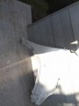 IMG_20220428_175841_BURST14.jpg