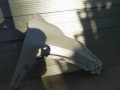 IMG_20220428_175911.jpg