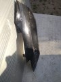 IMG_20220504_175945.jpg