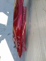 IMG_20220509_111949.jpg