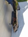 IMG_20220603_145326.jpg