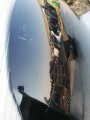 IMG_20190404_175640.jpg