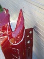 IMG_20220624_172429.jpg
