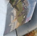 IMG_20230701_104915.jpg