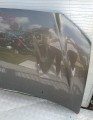 IMG_20230701_110230.jpg