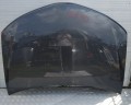 IMG_20230701_114459.jpg