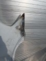 IMG_20230704_163954.jpg