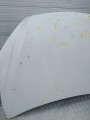 IMG_20230703_093936.jpg