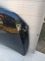 IMG_20230926_163452.jpg
