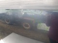 IMG_20231003_164317.jpg