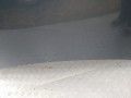 IMG_20231003_164320.jpg
