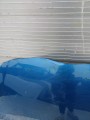 IMG_20231118_112715.jpg