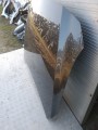 IMG_20230703_165020.jpg