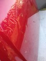 IMG_20230703_165451.jpg