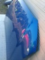 IMG_20240308_155640.jpg