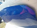 IMG_20240309_131636.jpg