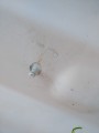 IMG_20240309_132313.jpg