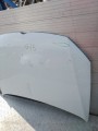 IMG_20240309_135852.jpg
