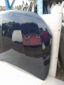 IMG_20240309_145049.jpg