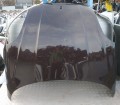 IMG_20240310_153219.jpg