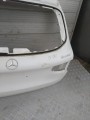 IMG_20240315_161741.jpg