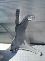 IMG_20240525_125718.jpg