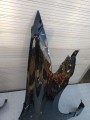 IMG_20240525_173520.jpg