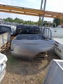 IMG_20240521_152410.jpg