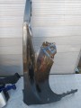 IMG_20240525_180927.jpg