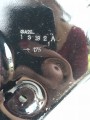 IMG_20240625_163403.jpg