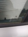 IMG_20240625_172615.jpg