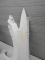 IMG_20240615_135341.jpg