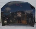 IMG_20230701_104115.jpg
